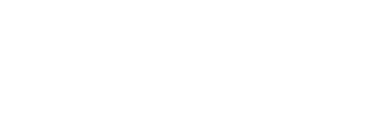 napi-events-todi-werkstatt-logo-weiss